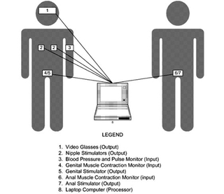 Illustration for article titled Seven (Mostly) Scientific Devices for Measuring Sexual Arousal
